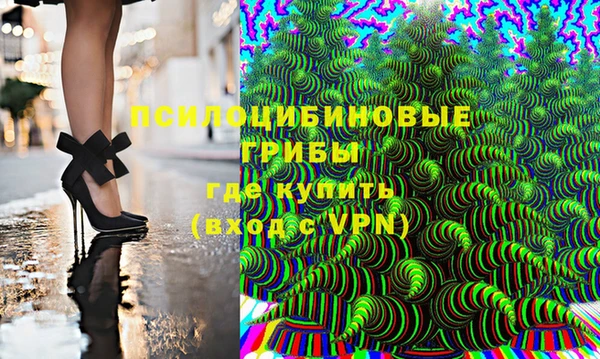 дживик Лагань