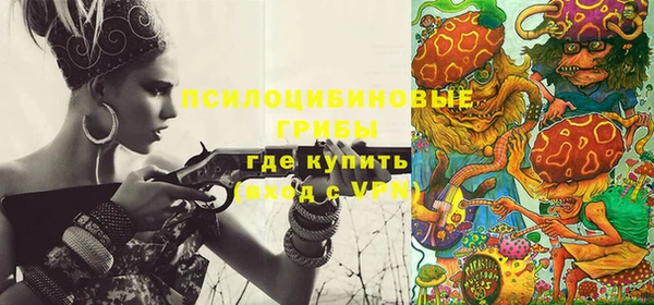 крисы Ладушкин