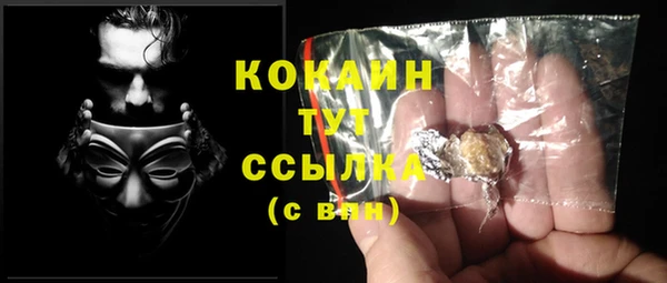 дживик Лагань