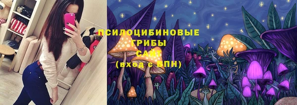 дживик Лагань