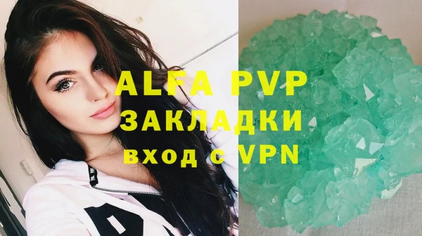 крисы Ладушкин
